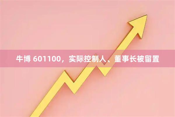 牛博 601100，实际控制人、董事长被留置