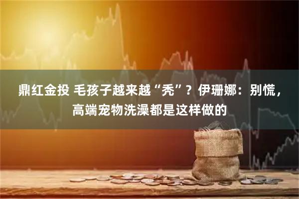 鼎红金投 毛孩子越来越“秃”？伊珊娜：别慌，高端宠物洗澡都是这样做的