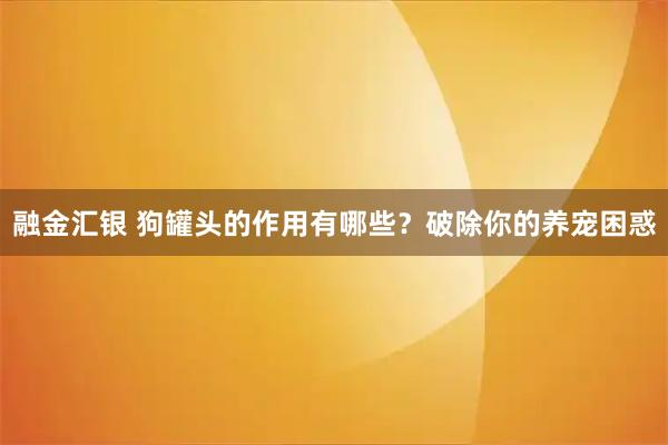 融金汇银 狗罐头的作用有哪些？破除你的养宠困惑