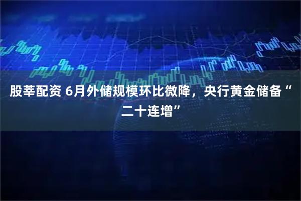 股莘配资 6月外储规模环比微降，央行黄金储备“二十连增”